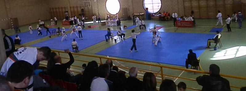 Castej&oacute;n acogi&oacute; la Primera Fase de JDN